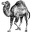 Perl.png